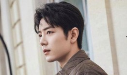 替身爆料肖战视频合集在线观看,揭秘明星幕后故事