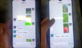 微信群吃免费大瓜,揭秘社交圈的甜蜜诱惑