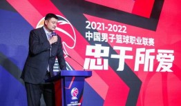 双鹏哥新闻发布会爆料,最新动态与未来展望